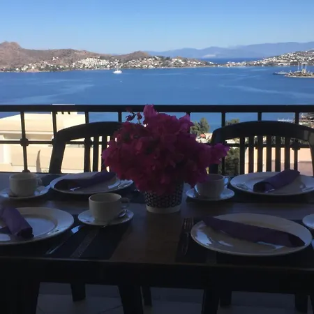 Elegant Villas 2/10 *